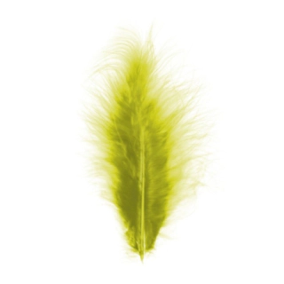 Dekorationsfjädrar Kiwi 10-15 cm