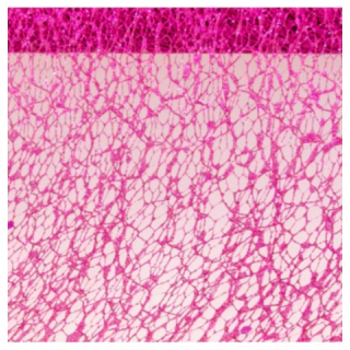 Glitter Bordslöpare Fuchsia