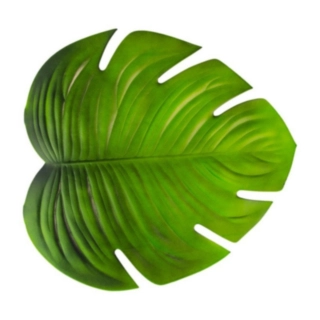 Tropiskt Blad Monstera