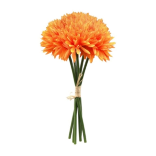 Dahlia Blommor Orange