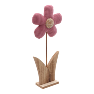 Stående Daisy Blomma Rosa