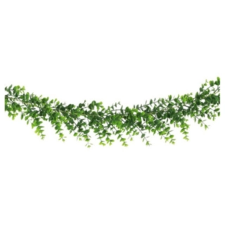 Eukalyptus Girlang Grön