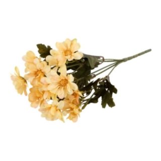 Tandört Blomma Gul