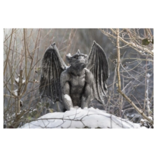 Gargoyle Skulptur Sten