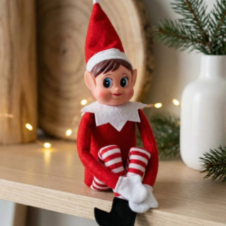 Tomtenisse Elf On The Shelf
