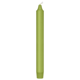 Kronljus Kiwi