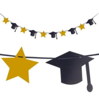 Examenshattar & Stjärnor Girlang