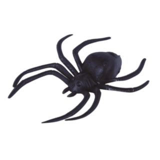 Halloween Spindlar Svart