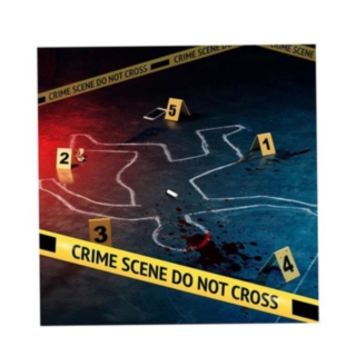 Crime Scene Set