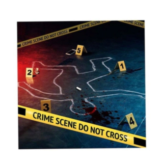 Crime Scene Set