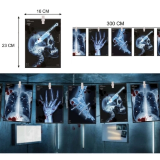 X-Ray Halloween Girlang