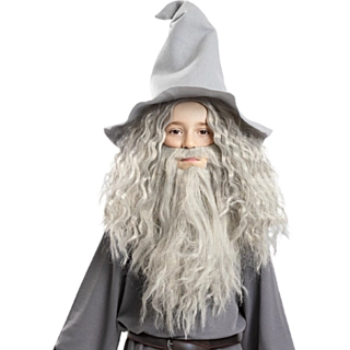 Sagan om Ringen® Gandalf Peruk & Skägg Barn