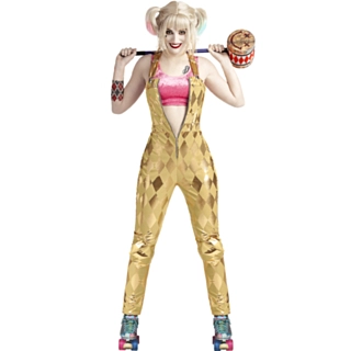 Birds Of Prey® Harley Quinn Maskeraddräkt