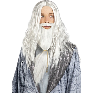 Harry Potter® Dumbledore Peruk & Skägg