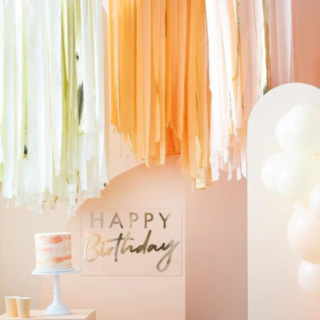 DIY Backdrop Laxfärgad