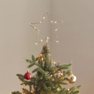Julstjärna Med Ljus