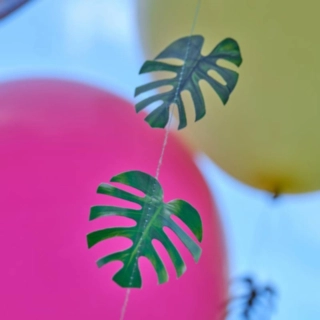 Palmblad Ballongsnöre