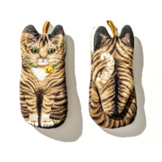 Katt Grytlappar Set