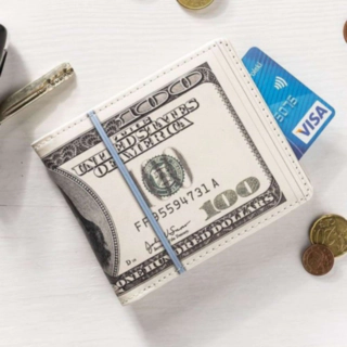 Dollar Plånbok