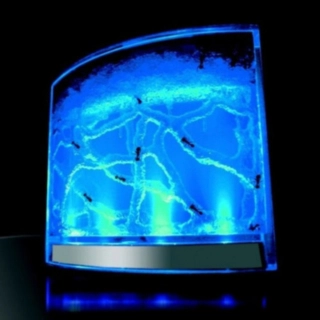 LED Gel Myrfarm