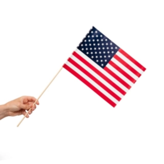 USA Flagga På Pinne