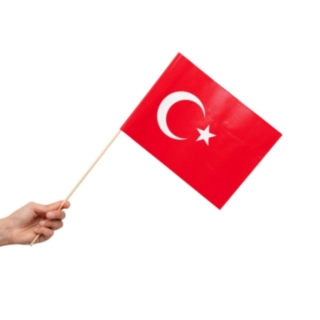 Turkiet Flagga På Pinne