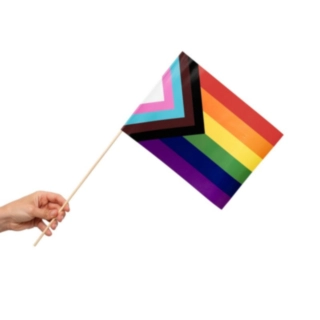Progress Pride Flagga På Pinne