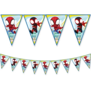 Spidey & His Amazing Friends® Girlang