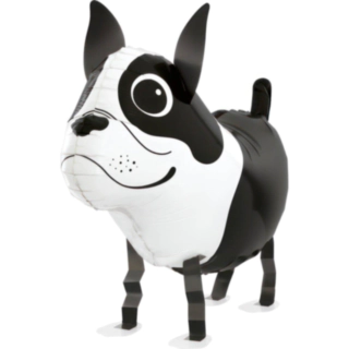 Boston Terrier Folieballong