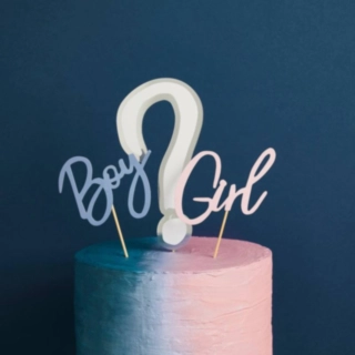 Babyshower Boy Girl Tårttoppar