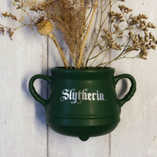 Harry Potter® Slytherin Häxkittel Väggvas
