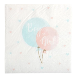 Boy Or Girl Servetter