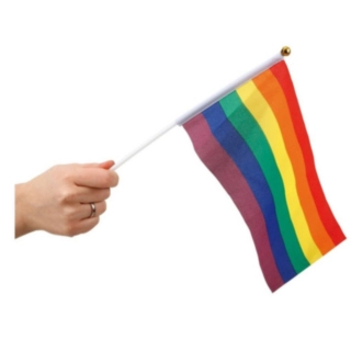 Pride Flagga På Pinne