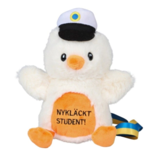 Nykläckt Student! Studentnalle