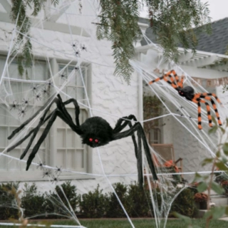 XXL Halloween Spindel Set