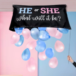Gender Reveal Ballongset