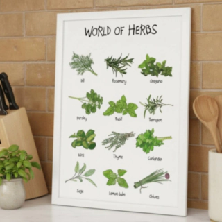 World Of Herbs A4 Affisch