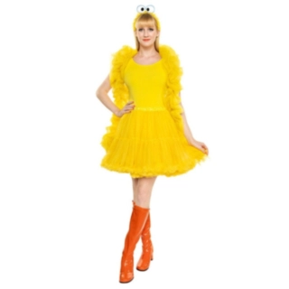 Sesame Street® Big Bird Tutu Maskeraddräkt