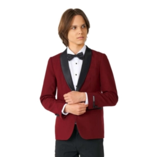 Opposuits® Hot Burgundy Teen Kostym