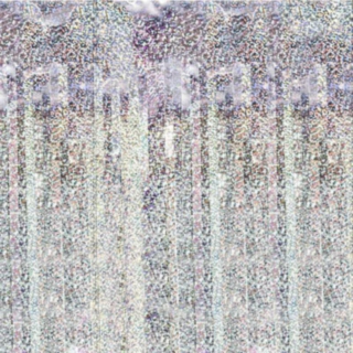 Glittergardin Holografisk
