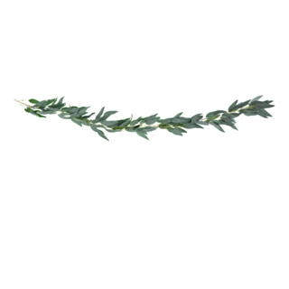 Pilblad Girlang