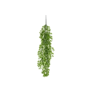 Gröna Blad