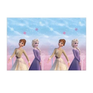 Frozen® Plastduk