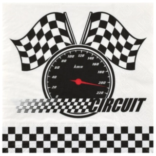 Racing Circuit Servetter