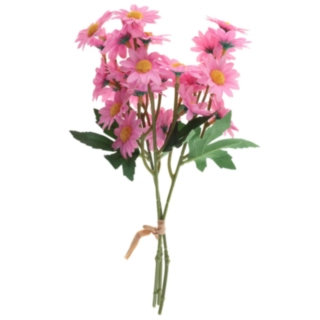 Prästkrage Bukett Ljusrosa