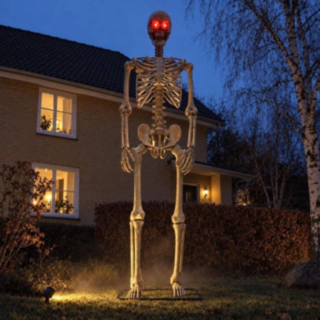Stort Skelett Lysande Ögon