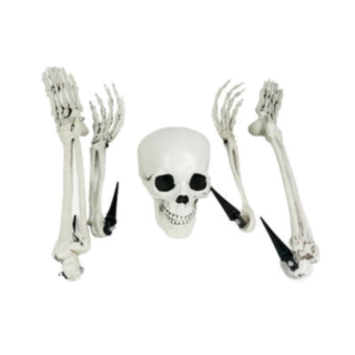 Skelett Dekorationsset