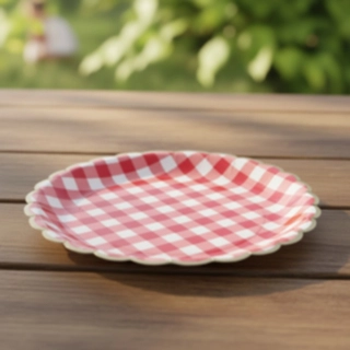 Rutig Picknick Pappers­tallrikar Röd/Vit