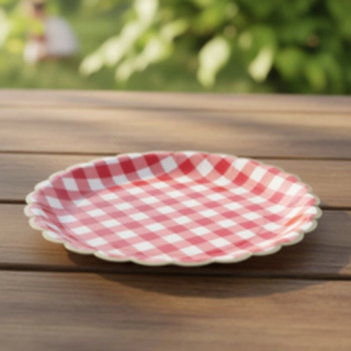 Rutig Picknick Pappers­tallrikar Röd/Vit