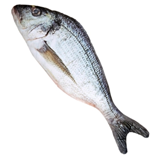 Konstgjord Fisk
